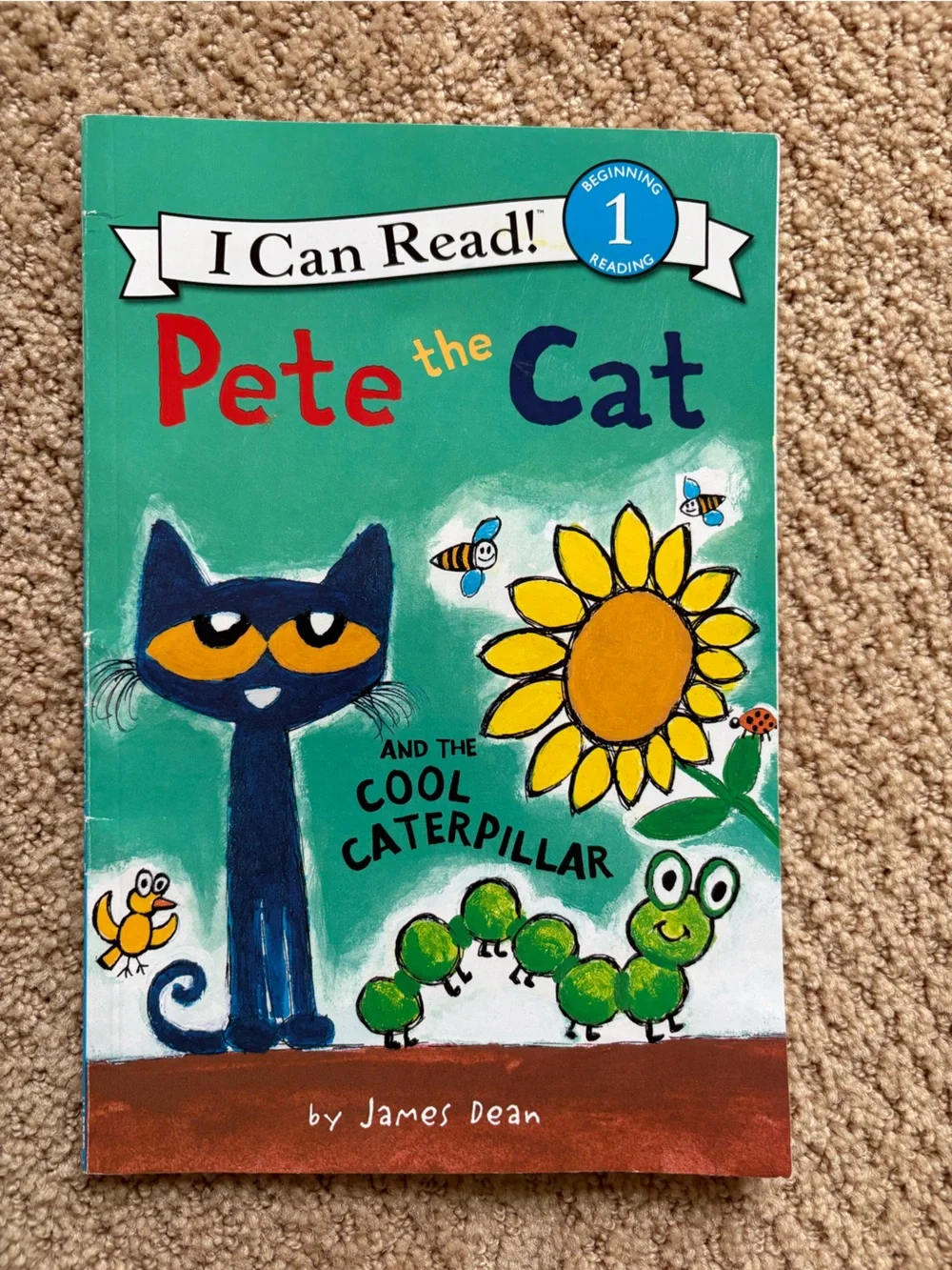 Scholastic illustrated children